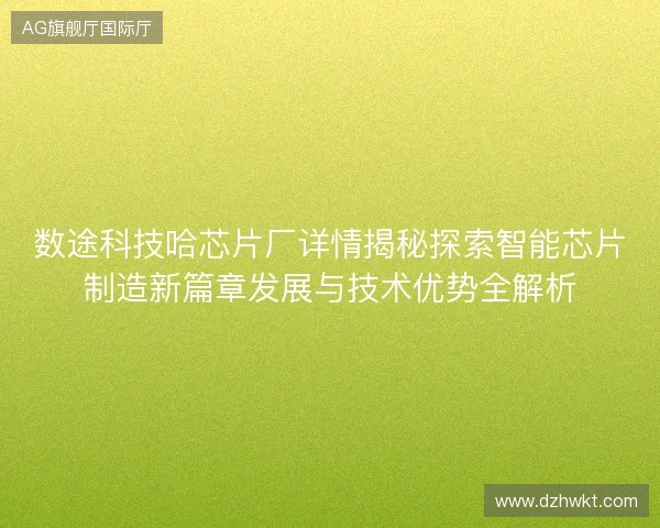 数途科技哈芯片厂详情揭秘探索智能芯片制造新篇章发展与技术优势全解析